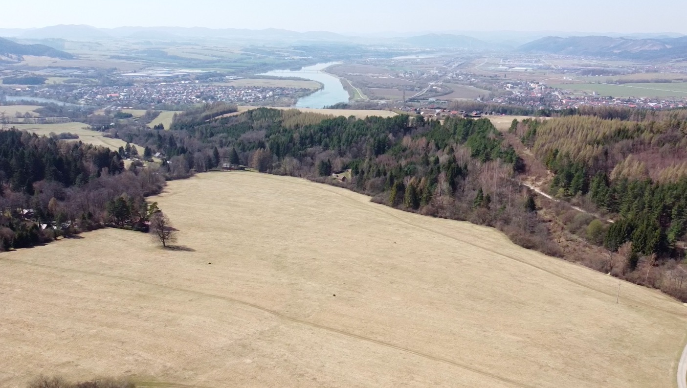 Na predaj pozemok Les a lúka 8000 m2 na chatu vo Varíne, Cena: 15€/m2